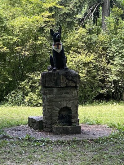 Dog Walking Island - Tonawanda, NY