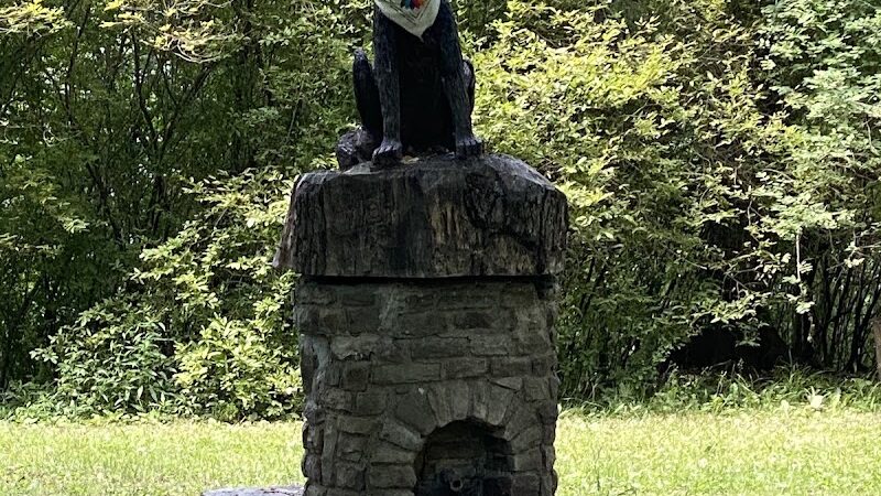 Dog Walking Island - Tonawanda, NY