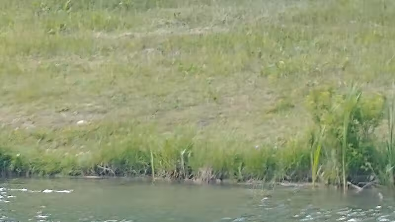 Topsham Ponds Trails - Topsham, ME