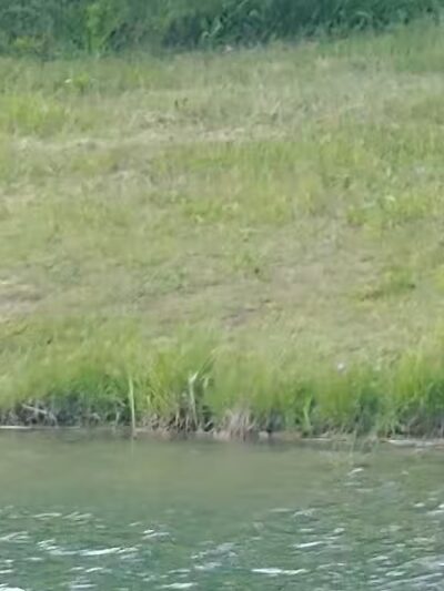 Topsham Ponds Trails - Topsham, ME