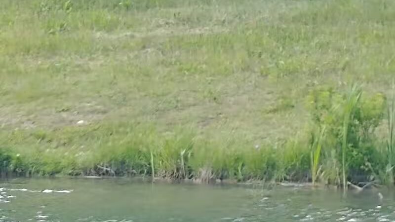 Topsham Ponds Trails - Topsham, ME