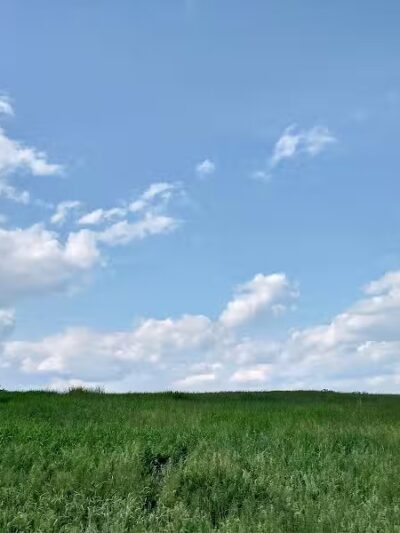 Topsham Ponds Trails - Topsham, ME