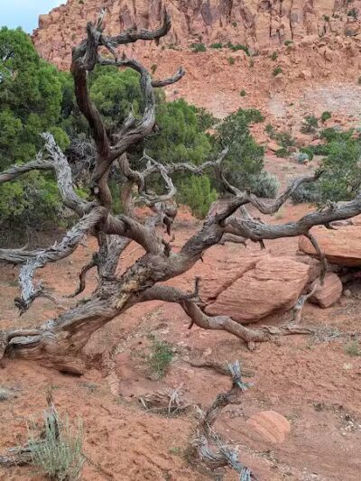 Torrey GWT Trailhead - Torrey, UT