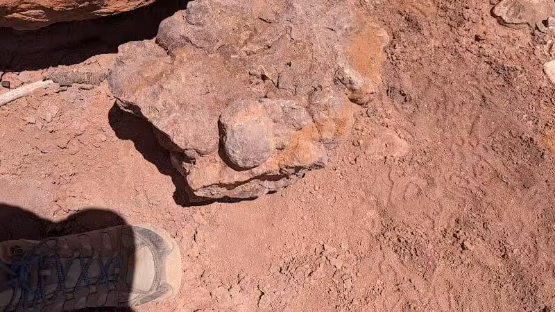 Torrey GWT Trailhead - Torrey, UT