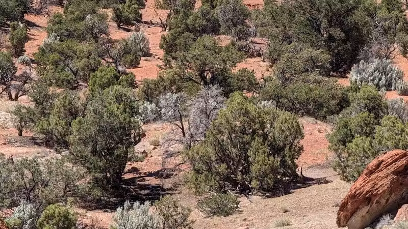 Torrey GWT Trailhead - Torrey, UT