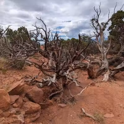 Torrey GWT Trailhead - Torrey, UT