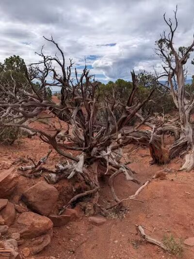 Torrey GWT Trailhead - Torrey, UT