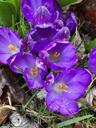 Tracy City Old Roundhouse Park - Tracy City, TN