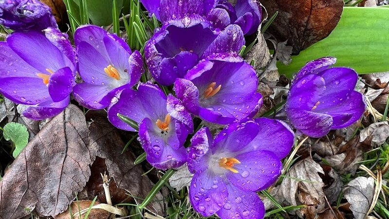 Tracy City Old Roundhouse Park - Tracy City, TN