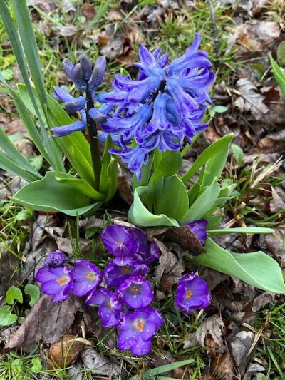 Tracy City Old Roundhouse Park - Tracy City, TN
