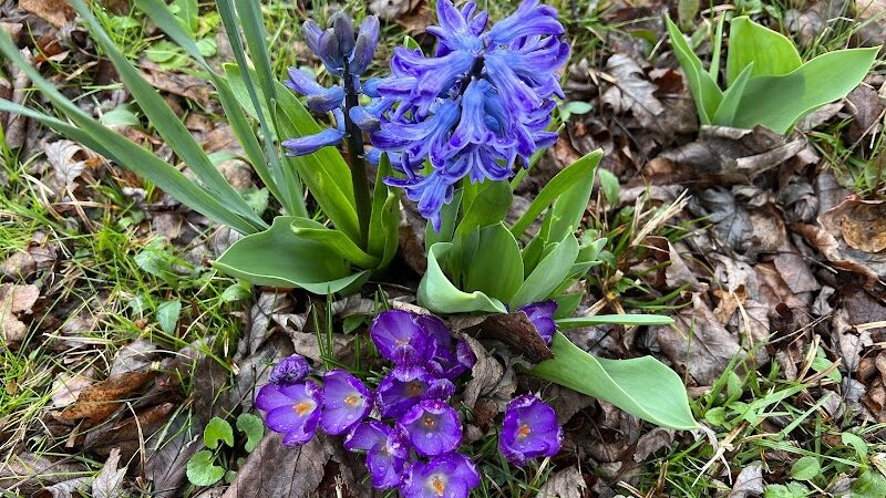 Tracy City Old Roundhouse Park - Tracy City, TN