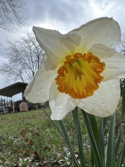 Tracy City Old Roundhouse Park - Tracy City, TN