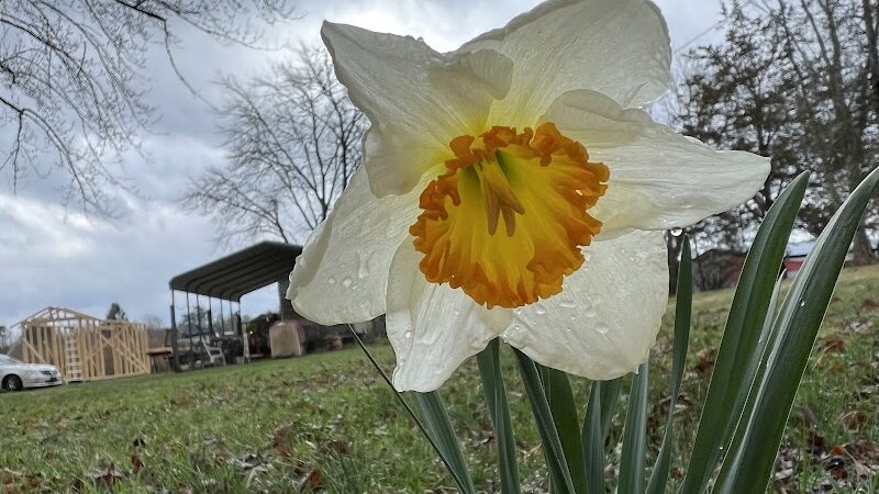 Tracy City Old Roundhouse Park - Tracy City, TN
