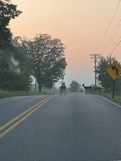 Tracy City Old Roundhouse Park - Tracy City, TN