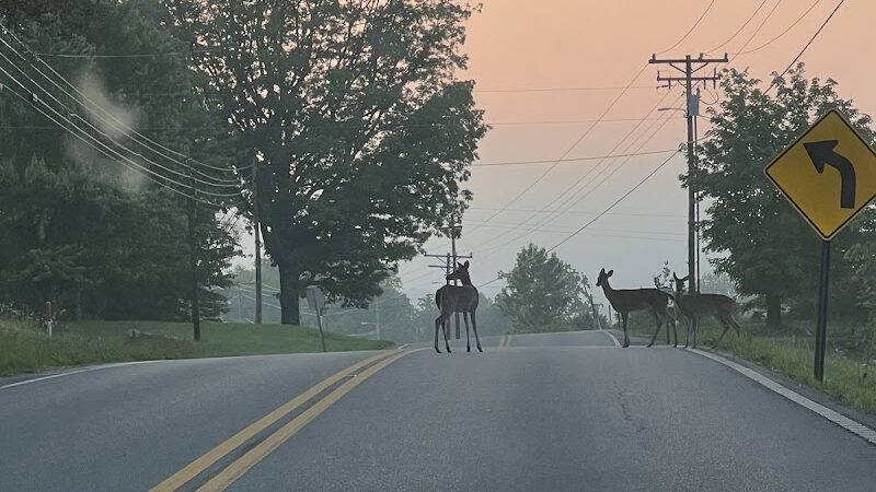 Tracy City Old Roundhouse Park - Tracy City, TN