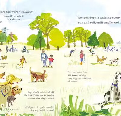 Trenton Dog Park Project - ,