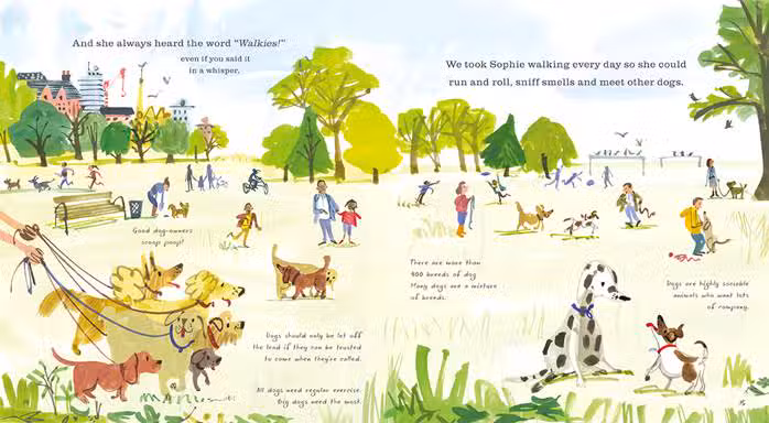 Trenton Dog Park Project - ,