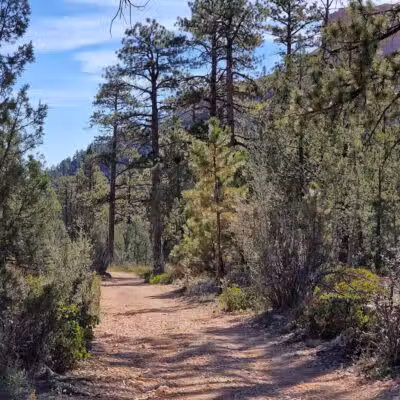 Tropic Trail Trailhead - Tropic, UT
