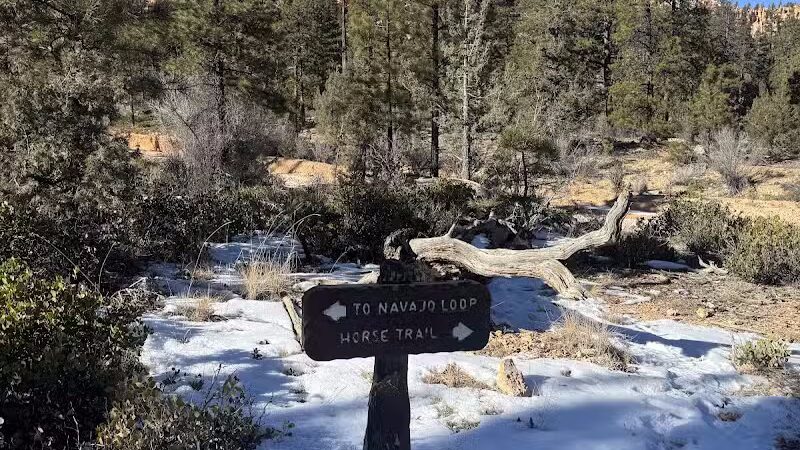 Tropic Trail Trailhead - Tropic, UT