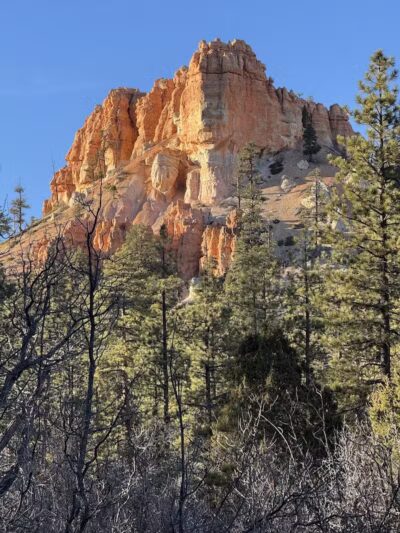Tropic Trail Trailhead - Tropic, UT