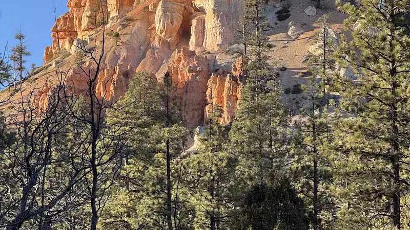 Tropic Trail Trailhead - Tropic, UT