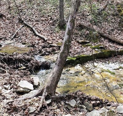 Big Sugar Trail Trailhead - Troy, MO