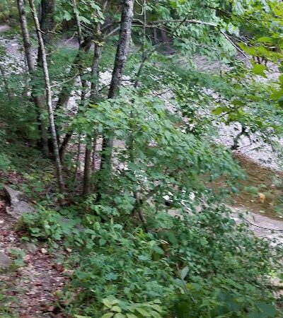 Big Sugar Trail Trailhead - Troy, MO