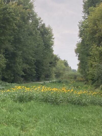 Kiwanis Park - Troy, MO