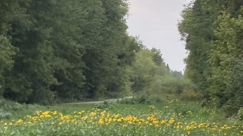 Kiwanis Park - Troy, MO