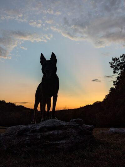 Lakeside Trail on Lincoln Lake - Troy, MO
