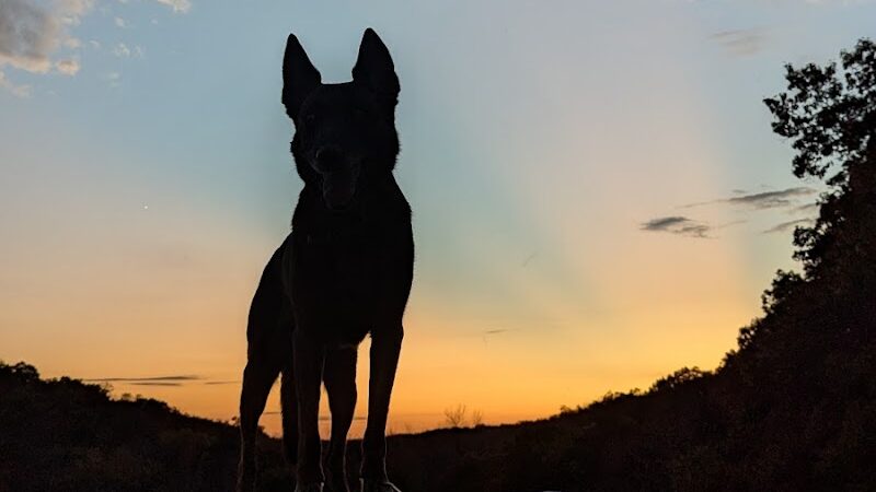 Lakeside Trail on Lincoln Lake - Troy, MO