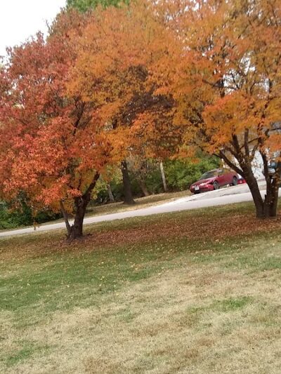 Weinand Park - Troy, MO