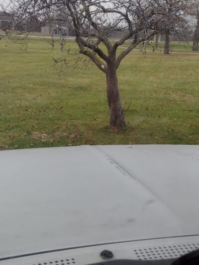 Weinand Park - Troy, MO