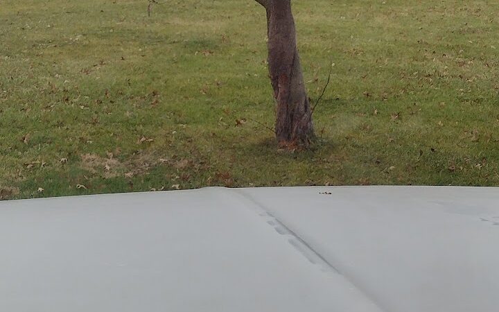 Weinand Park - Troy, MO