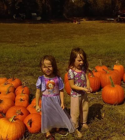 Weinand Park - Troy, MO