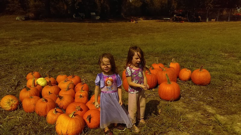 Weinand Park - Troy, MO