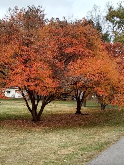Weinand Park - Troy, MO