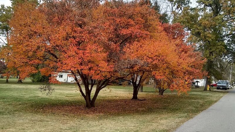 Weinand Park - Troy, MO