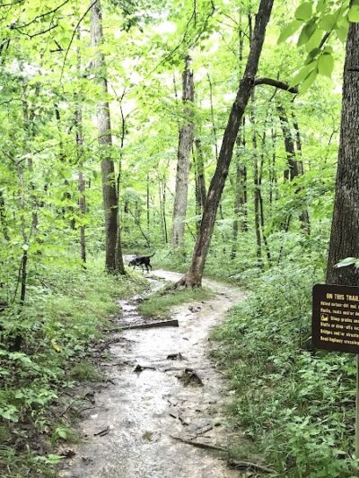 Frenchman’s Bluff Trail - Troy, MO