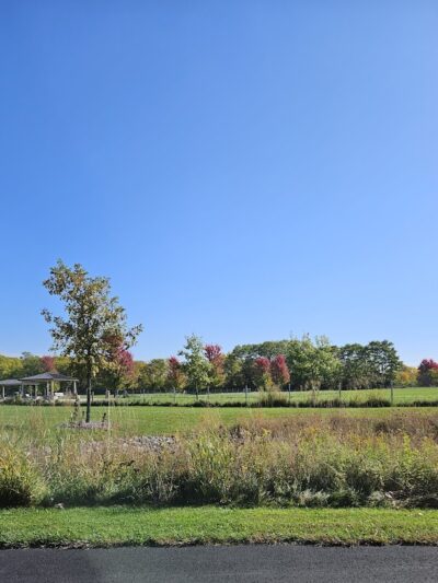 Lower Rock Run Dog Park - Troy Township, IL