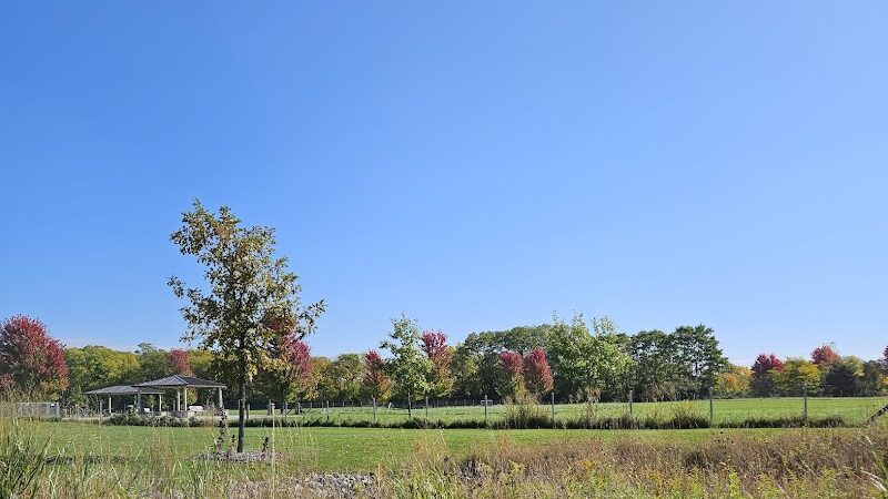 Lower Rock Run Dog Park - Troy Township, IL