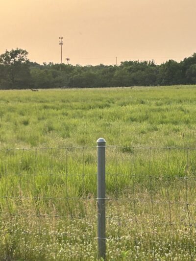 Lower Rock Run Dog Park - Troy Township, IL