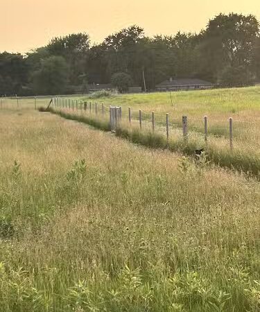 Lower Rock Run Dog Park - Troy Township, IL