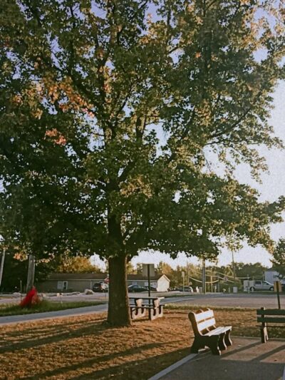 Bruer Park - Truesdale, MO