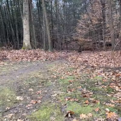 Indian Ledge Park - Trumbull, CT