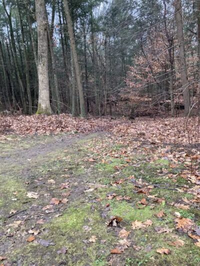 Indian Ledge Park - Trumbull, CT