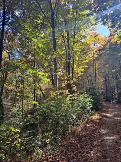 Indian Ledge Park - Trumbull, CT
