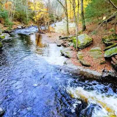 Pequonnock Valley Wildlife Management Area - Trumbull, CT