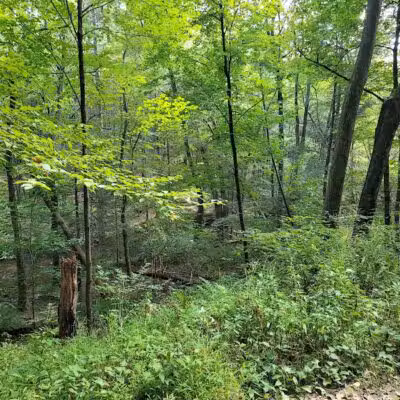 Pequonnock Valley Wildlife Management Area - Trumbull, CT