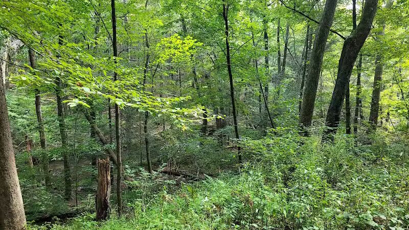 Pequonnock Valley Wildlife Management Area - Trumbull, CT